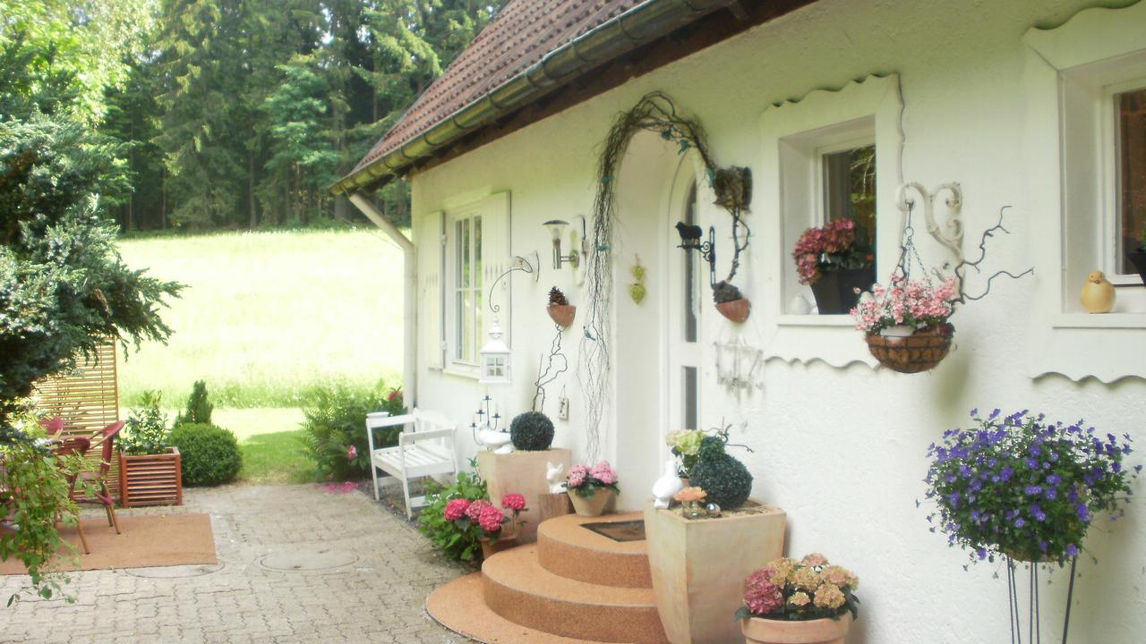 Gaestezimmer Im Haus Am Wald Freudenstadt Eksteriør billede