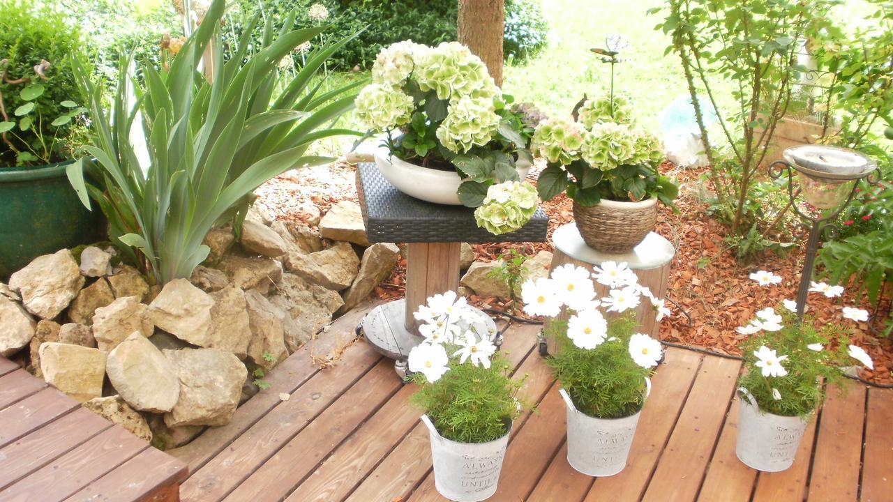 Gaestezimmer Im Haus Am Wald Freudenstadt Eksteriør billede